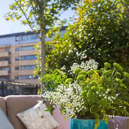 Regras & Garden By Benefit Collection B