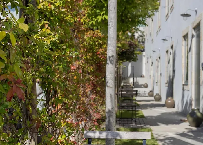 Regras & Garden By Benefit Collection B פורטו